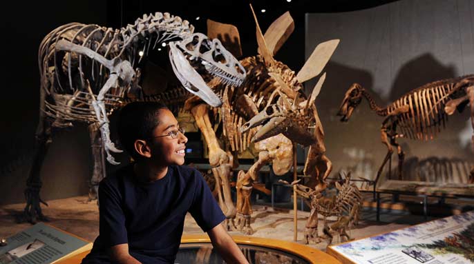 img_denver museum